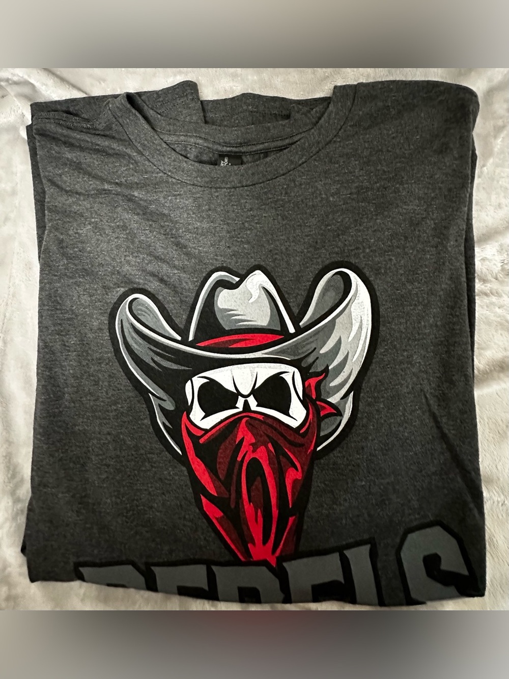 District Rebels Cowboy Skull Bandana Graphic Tee Grey 4XL (0068)